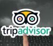 Tripadvisor hilft bei der Suche nach Hotels, Restaurants und mehr. (Foto: AdobeStock - 572591520 Bilal Ulker)